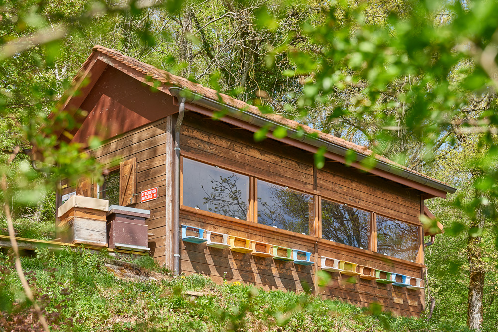 Activités écoles, découverte du rucher, Fondation La Coudre